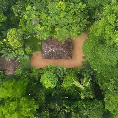Swasthi Serviced Villa Kanjirapalli Εξωτερικό φωτογραφία