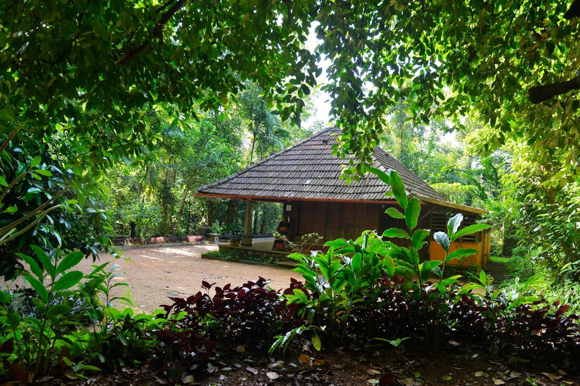 Swasthi Serviced Villa Kanjirapalli Εξωτερικό φωτογραφία